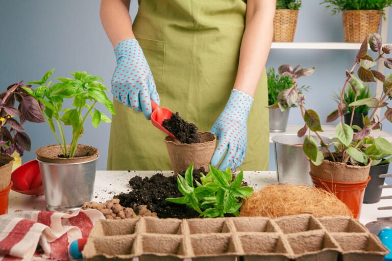 Sustainable Gardening Made Easy: 20 Organic Tips Every Gardener Should Know