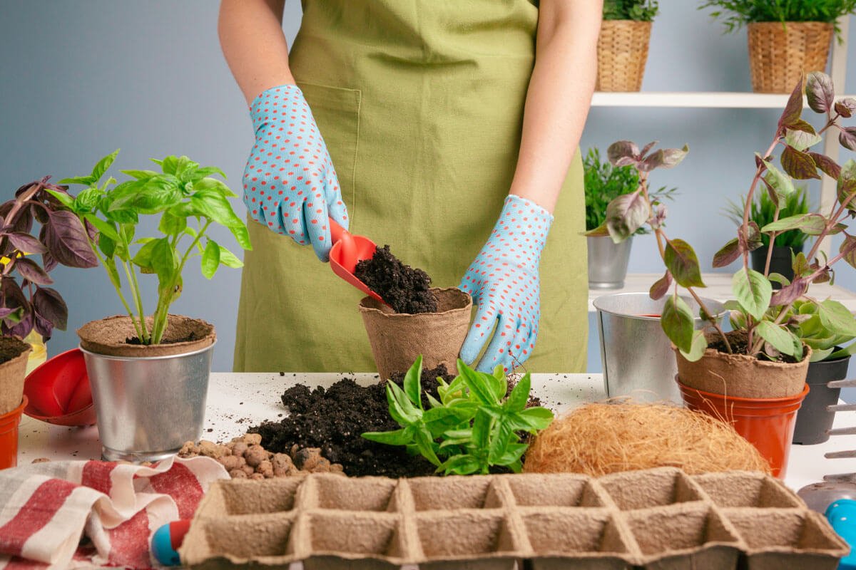 Sustainable Gardening Made Easy: 20 Organic Tips Every Gardener Should Know