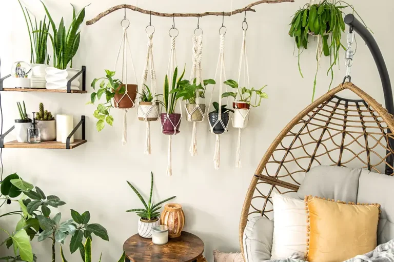 19 Hanging Planter Ideas for Your Home