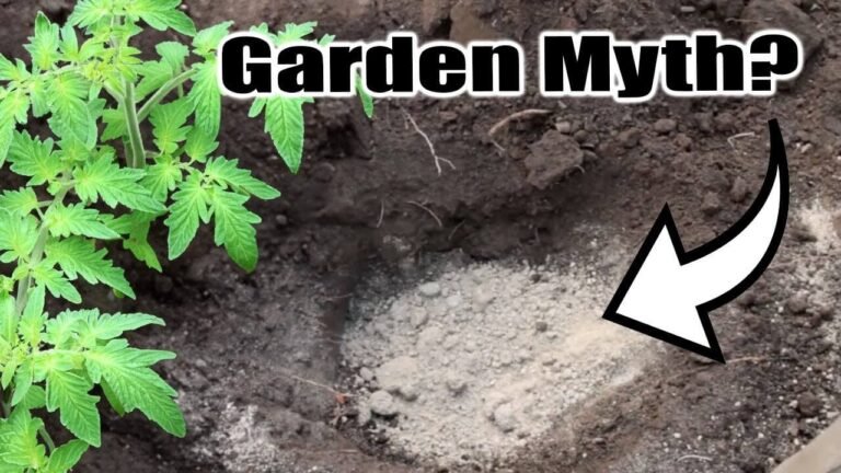 Top 9 Gardening Myths Busted