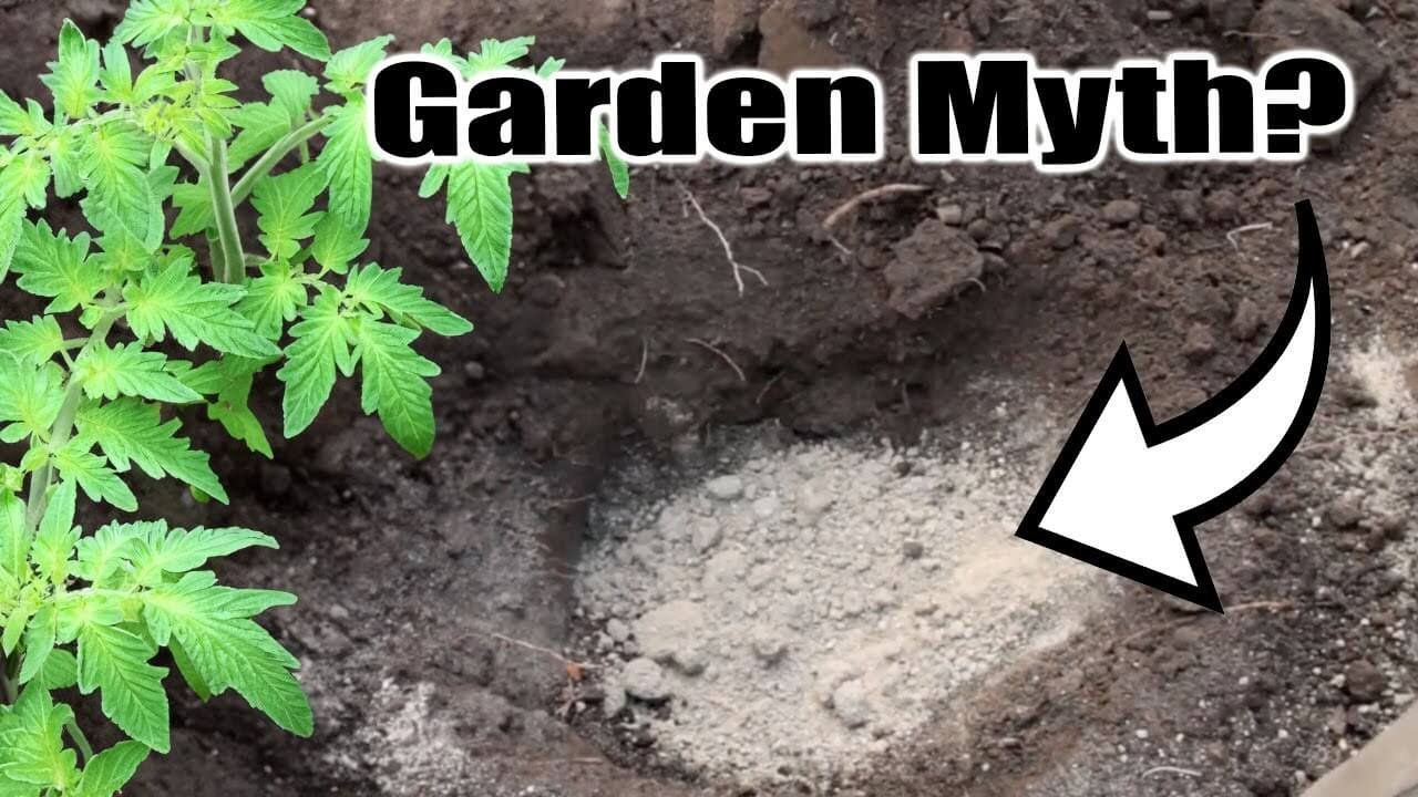 Top 9 Gardening Myths Busted