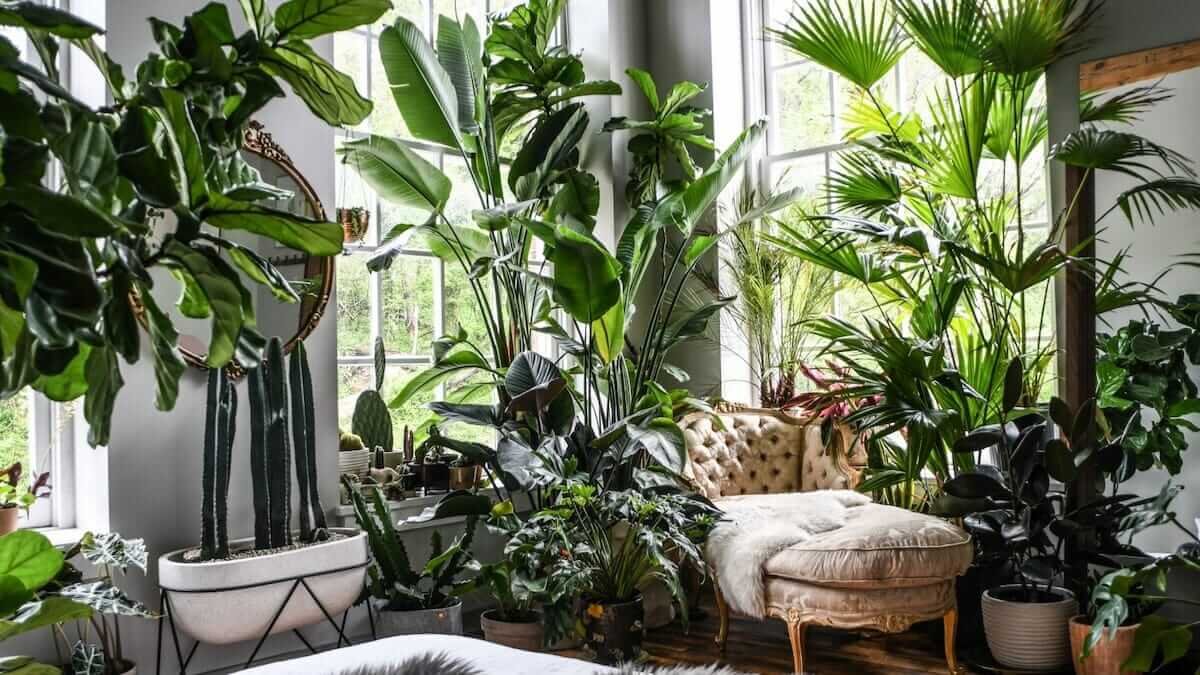 13 Creative Succulent Layouts Perfect for Indoor and Tabletop Decorating