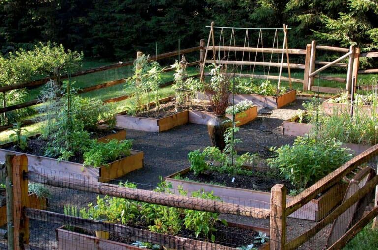 13 Vegetable Garden Ideas and Layouts for Your Yard