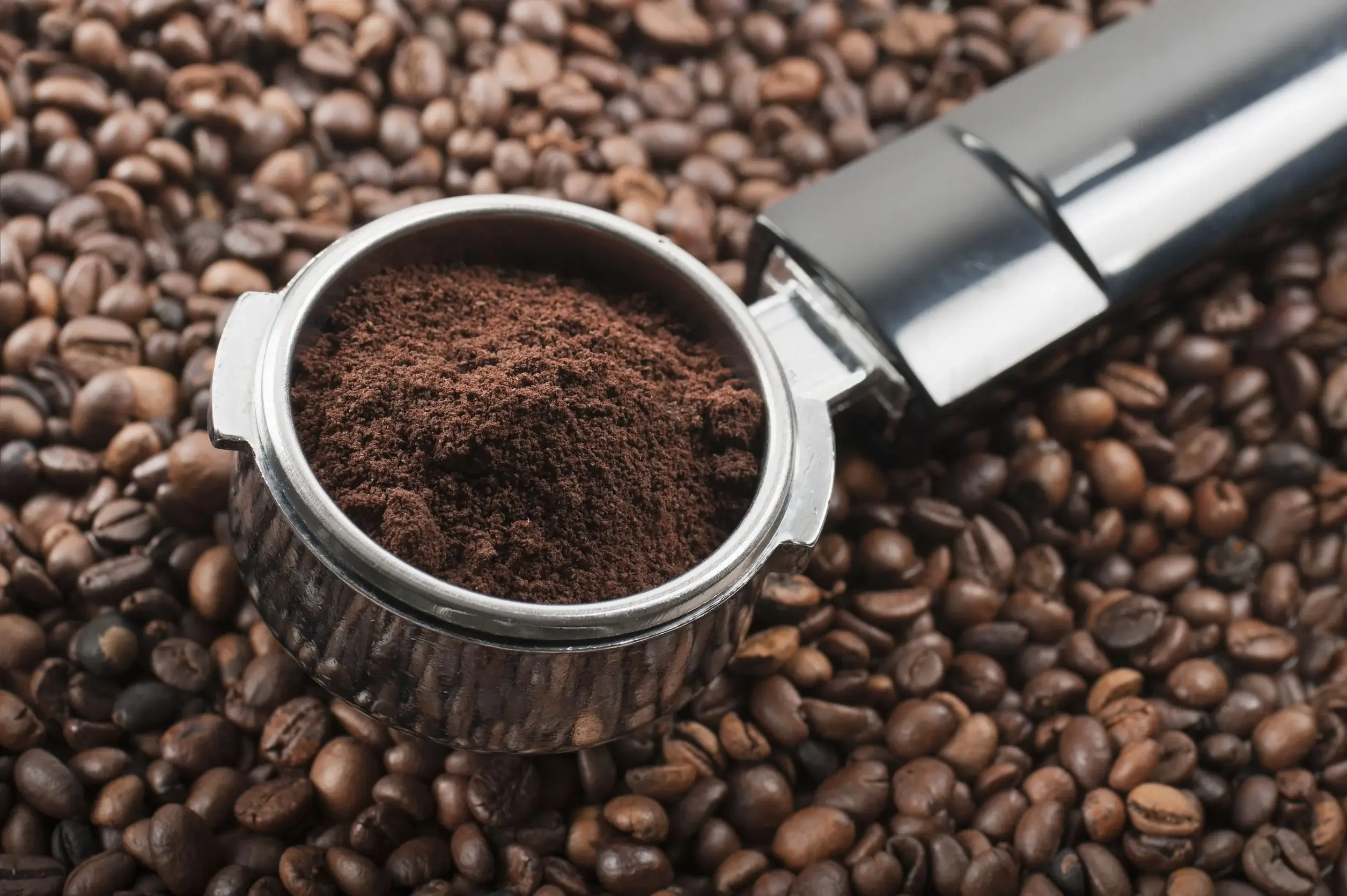Gardening with Coffee Grounds: The Organic Fertilizer You’re Throwing Away