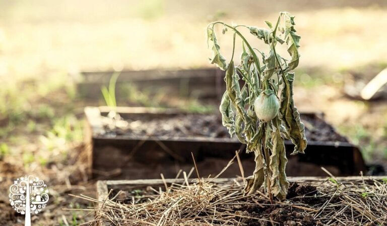 9 Reasons Your Garden Fails to Flourish| And How to Fix Them Naturally
