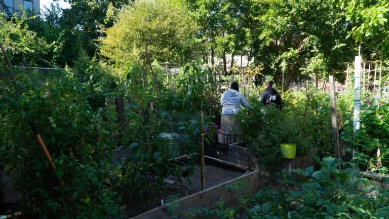 Danger in the Dirt: Hidden Garden Threats and Smart Ways to Avoid Them