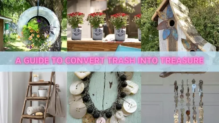 Turn Trash Into Garden Treasure| Creative Uses for Plastic Bottles in Gardening