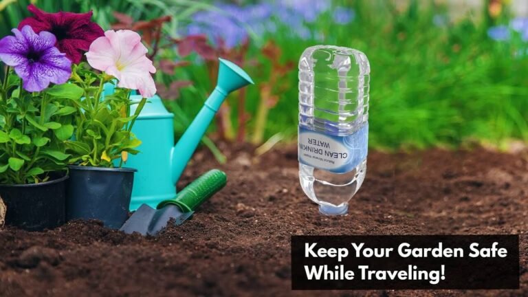 Keep Your Garden Safe While Traveling!