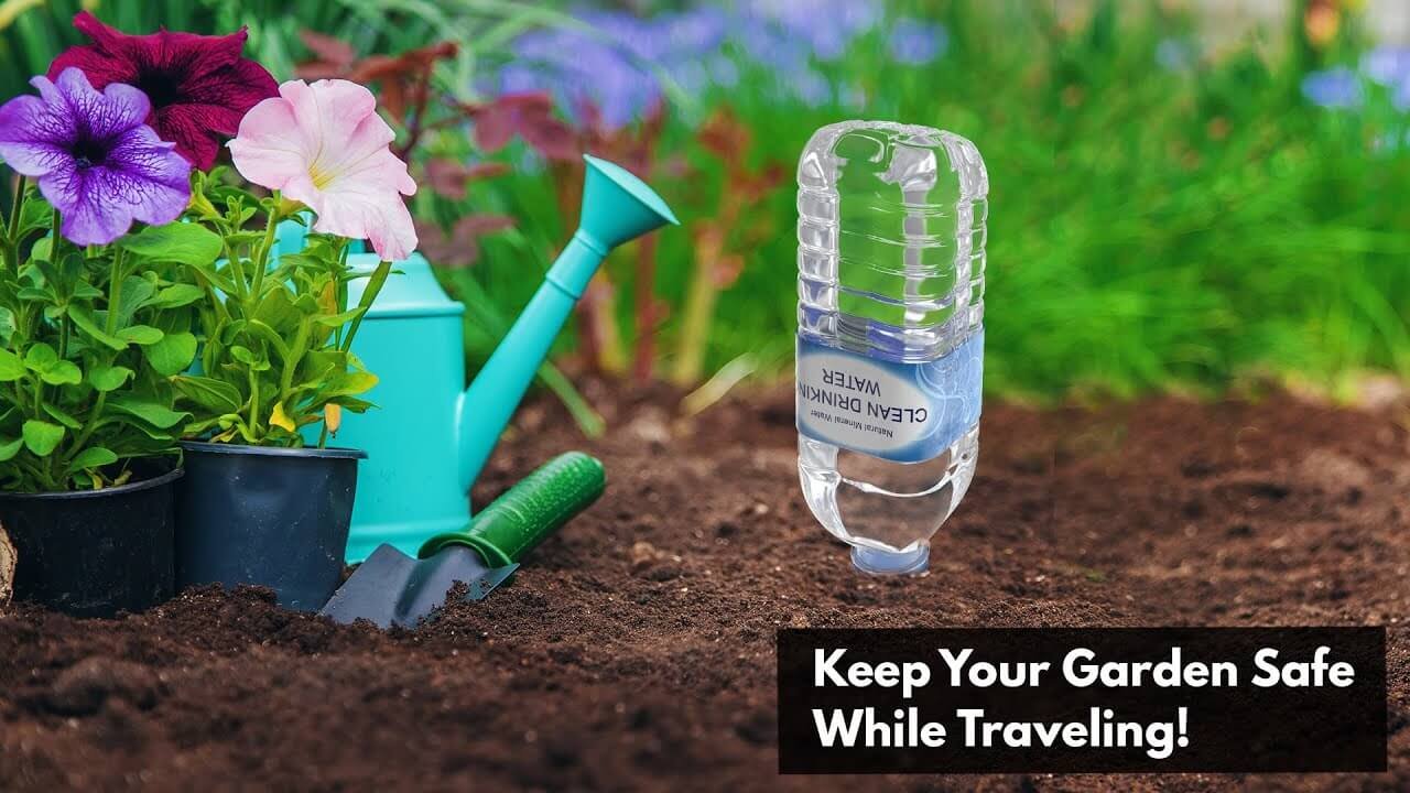 Keep Your Garden Safe While Traveling!