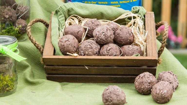 9 Essential Facts About Seed Bombing Every Guerrilla Gardener Should Know